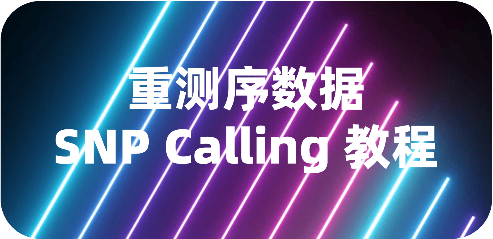 重测序数据SNP Calling 教程