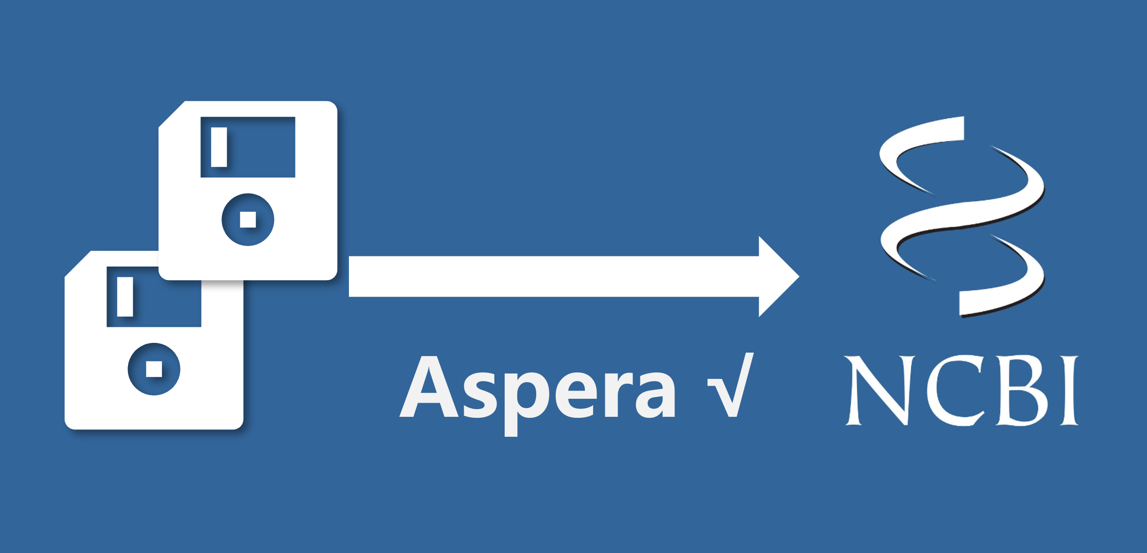 Aspera上传数据到NCBI，使用Python脚本保持传输无中断